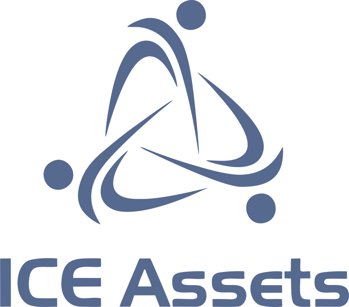 ICE-Assets